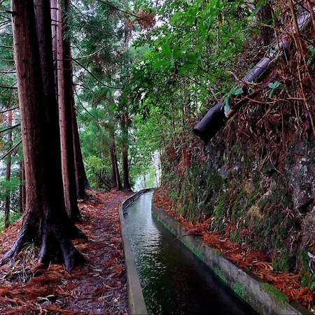 Vista Do Vale Villa Sao Vicente (Madeira)